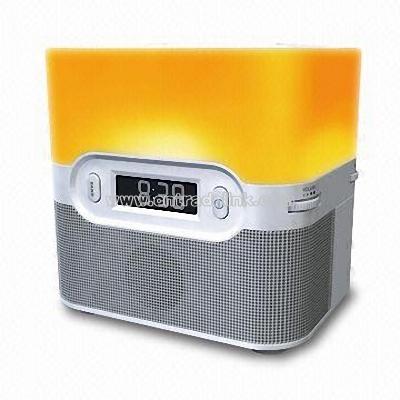 AM/FM Alarm Clock Radio with Snooze Function and Wake-up Light