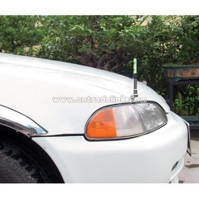 Car Antenna with Light