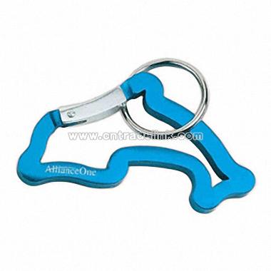 Carabiner key holder with split ring