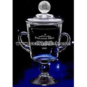 Crystal cup award