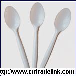 Cutleries Spoon