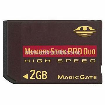 Flash Memory Card