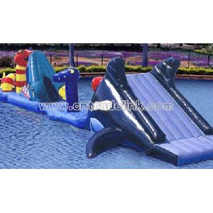 Inflatable Water Slider