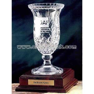 Lead crystal vase award