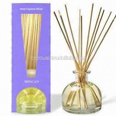 Mini Reeds Fragrance Diffuser Set
