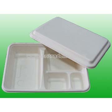 Paper Lunch Box