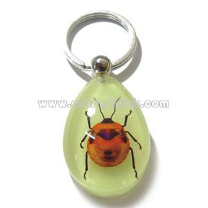Real Insect Amber Key Chain