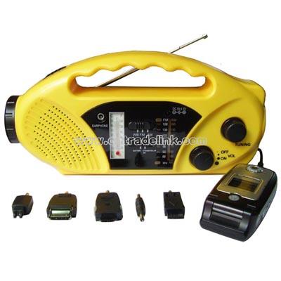 Solar Dynamo Radio with Flashlight
