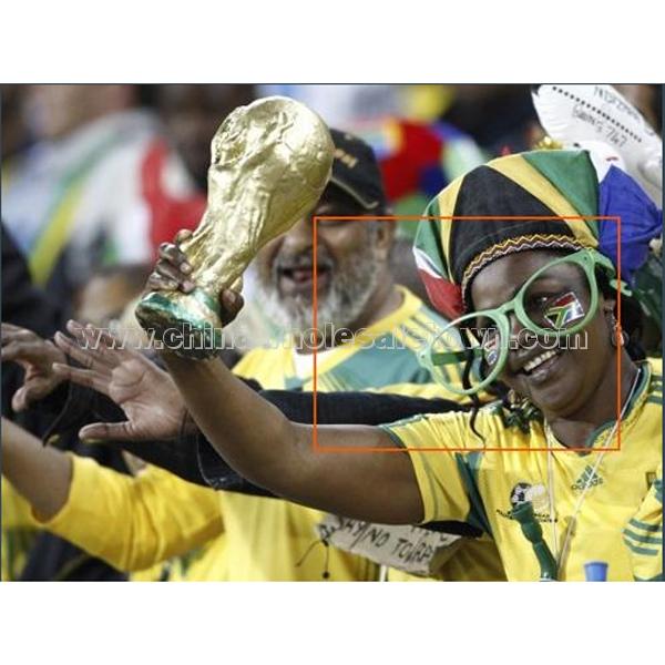 South African World Cup fans of Big Beach glasses