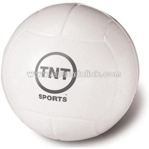 Volley Ball Stress Reliever