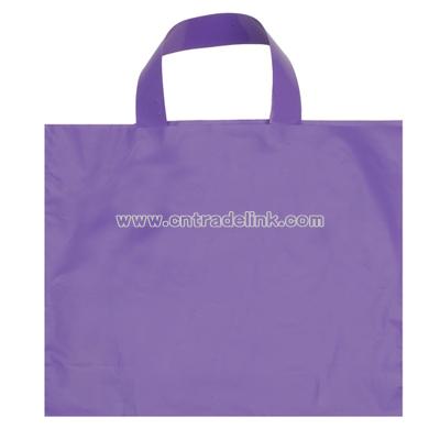 12x10-inch Frosted Plastic Bag