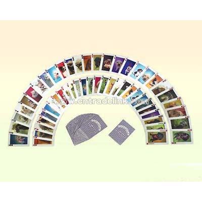 3D Lenticular Playing Card