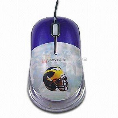 3D Surface-painted Mouse