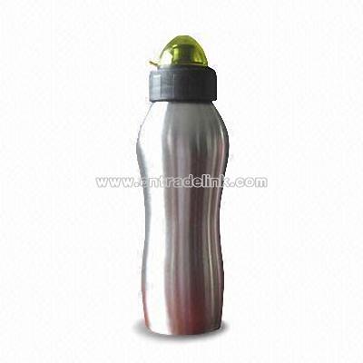 750ml stainless steel bottle With plastic lid