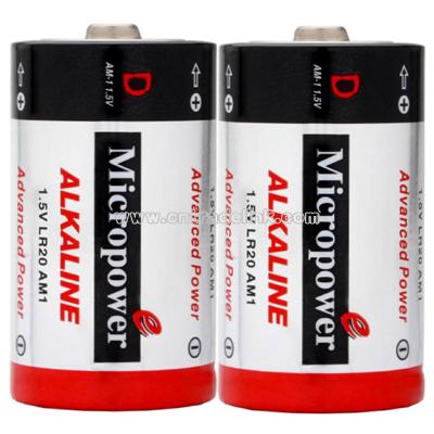 Alkaline Battery D/LR20