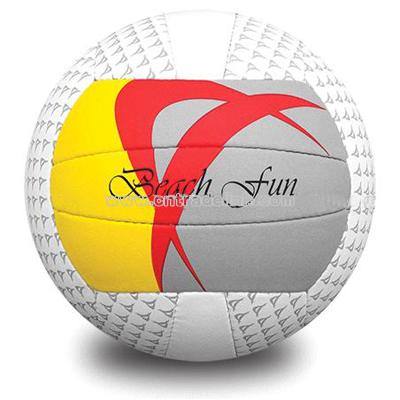 Aster Volleyball