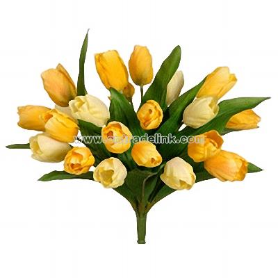 Beautiful gentle tulips in yellow cream measures 11