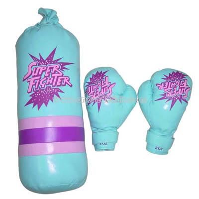 Boxing Gloves / Punching Bag