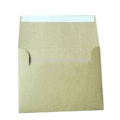 Brown Envelope