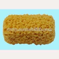 Car Cleaning Sponge