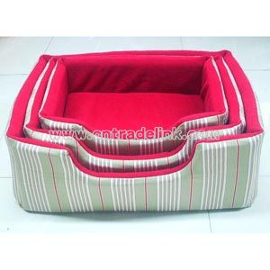 Dog House
