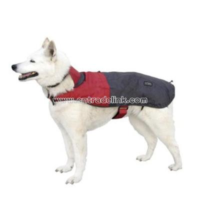 Dog Rain Jacket, Large Assorted Color