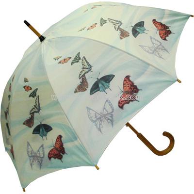 Double Layer Umbrella