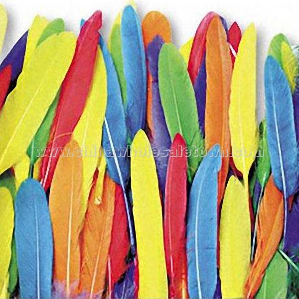 Duck Quill Feathers