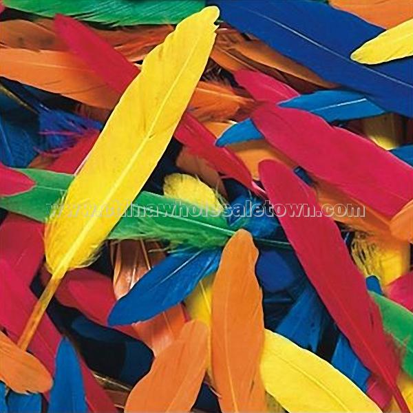 Duck Quill Feathers