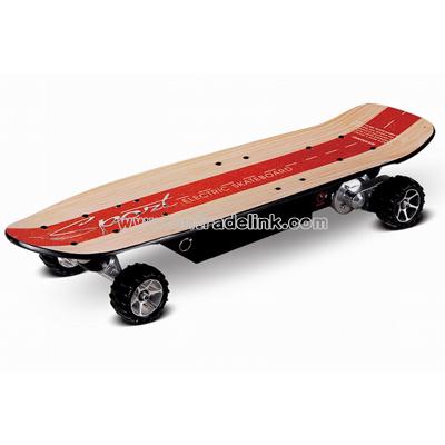 Electric Skateboard