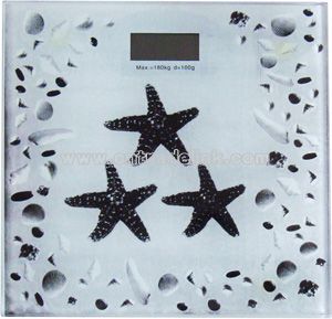 Electronic Body Scale