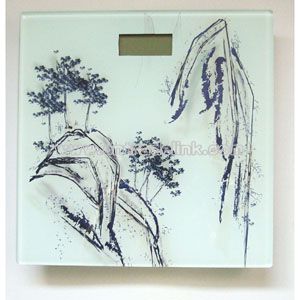 Electronic Body Scale