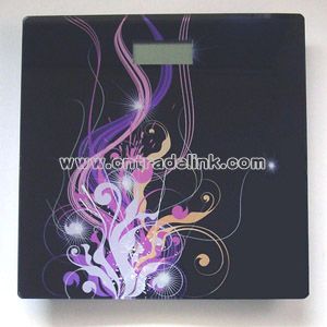 Electronic Body Scale