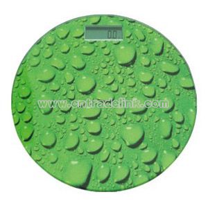 Electronic Body Scale