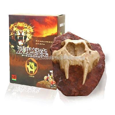 Excavation Fossil Toy DIY Archeology Toy