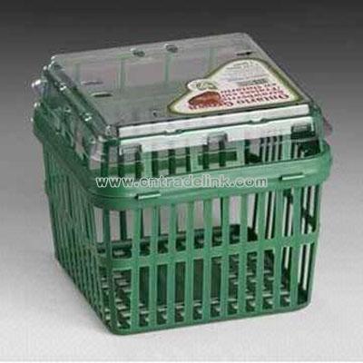 FRESH FRUIT CLAMSHELL PP Food Packaging Container