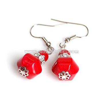 Fashionable Tibet Earring with Special Flavour