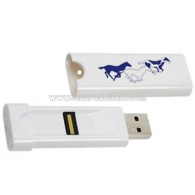 Fingerprint USB Flash Drive