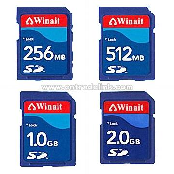 Flash Memory Card