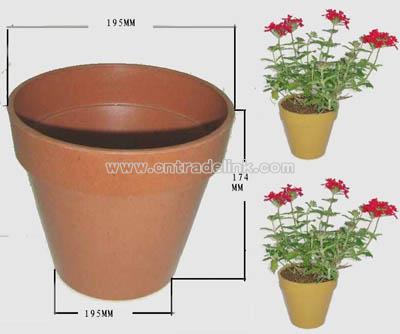 Flower Pots