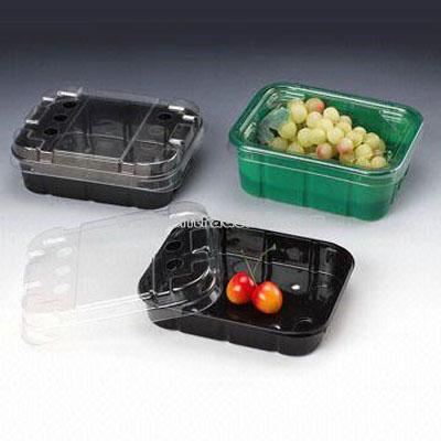 Food Storage Container