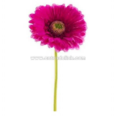 Fuchsia Silk Gerbera Daisy with a 4