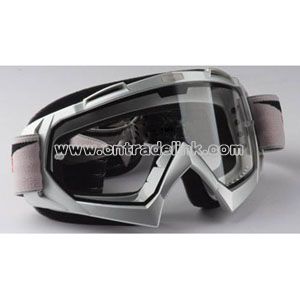 Goggle