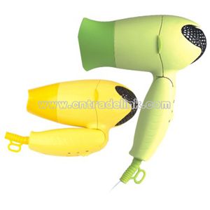 Hair Drier