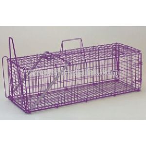 Hamster Cage