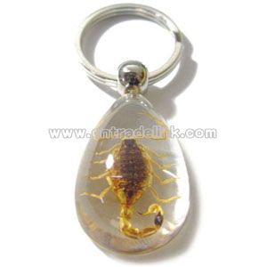 Insect Amber Keychain
