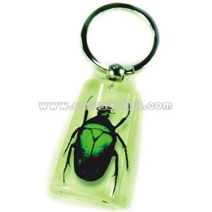 Insect Keychain - Acrylic Amber Keychain