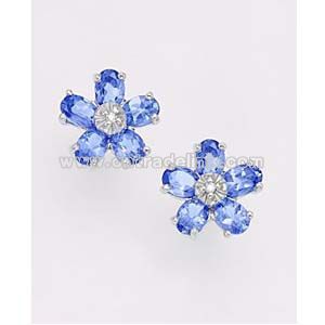 Jewelry Earring