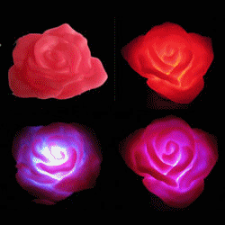 LED Magic Flashing Rose