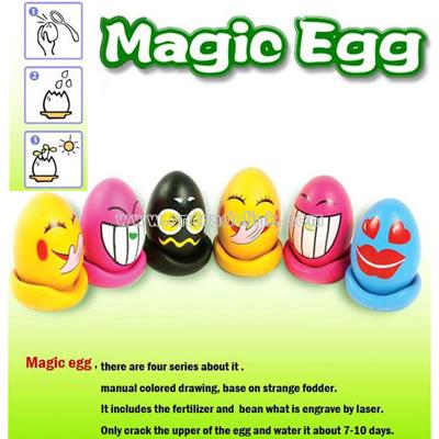 Magic Egg DIY Flower
